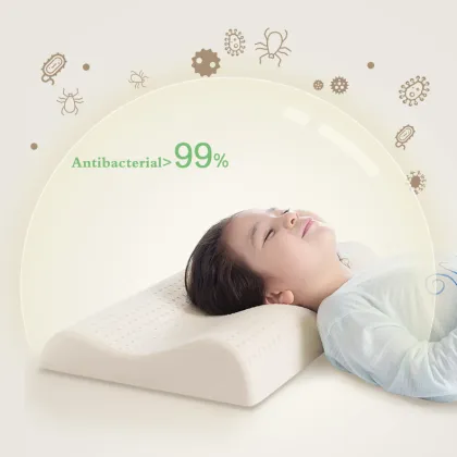 Thailand Foam 100% Natural Latex Pillow