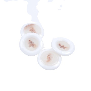 Resin Button Garments OEM BP40538: Customized Clothing Manufacturing Solution