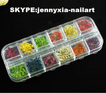 3D nail art acrylic flower nail decoration /nail real dried flowers