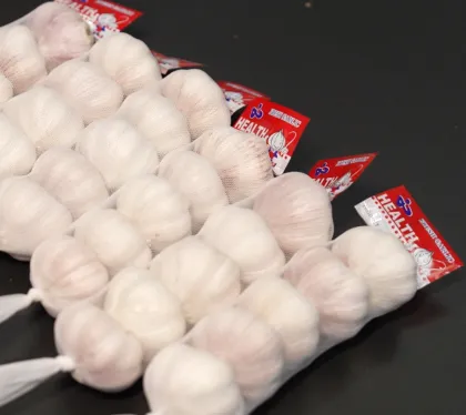 Premium White Garlic with Strong Flavor and Aroma