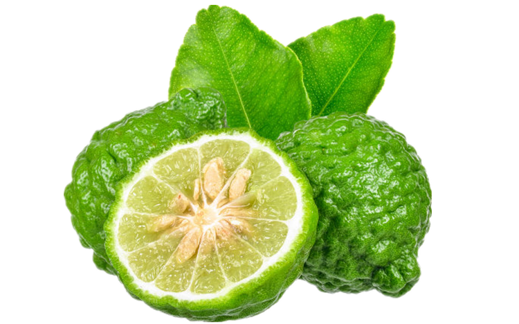 Undiluted Therapeutic bergamot essential oil