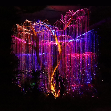 160W RGB Colorful LED Fiber Optic Weeping Willow Lamp for Outdoor Christmas Decorations