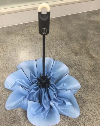 Custom Logo OEM Umbrella for Women and Children - POE PVC Sunscreen Dome Clear Bubble Umbrella