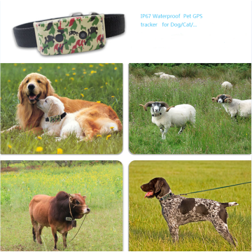 GPS Tracker Dog Cat Pet Collar Waterproof