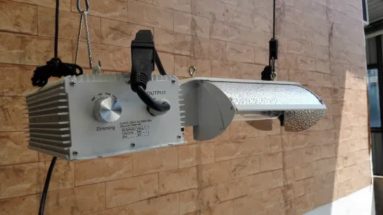 Adjust 1000W double end light/Flat style grow light/Indoor garden light