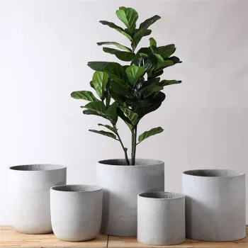 Yongsheng Simplism Large Concrete Planters - European Macetero Cabeza Garden Decorations