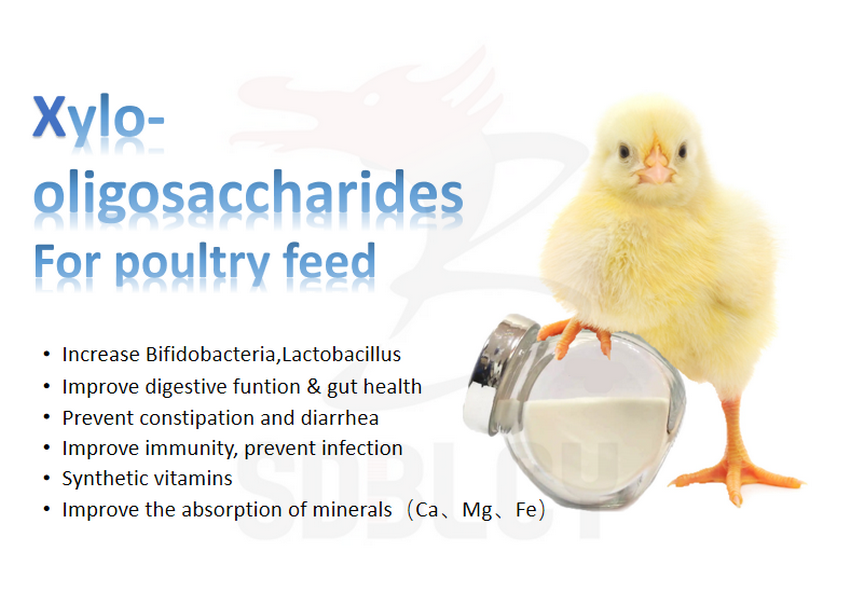 Xylo oligosaccharide XOS 35 powder for poultry