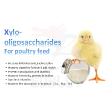 Xylo oligosaccharide XOS 35 powder for poultry