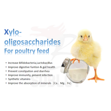 مسحوق Xylo oligosaccharide XOS 35 للدواجن