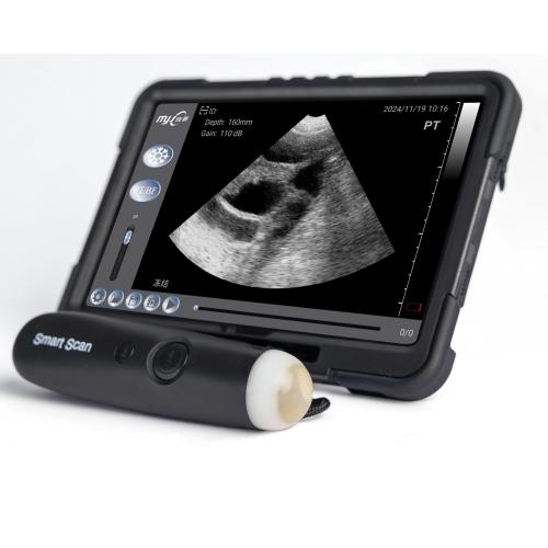 best veterinary ultrasound machine