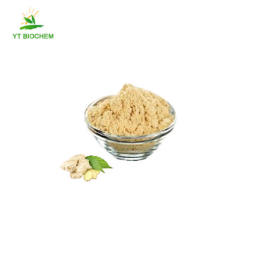 Organic ginger juice extract powder ginger powder