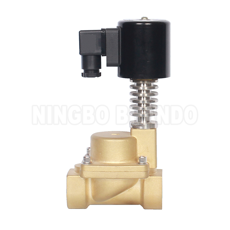 Brass Steam Solenoid Valve (5)