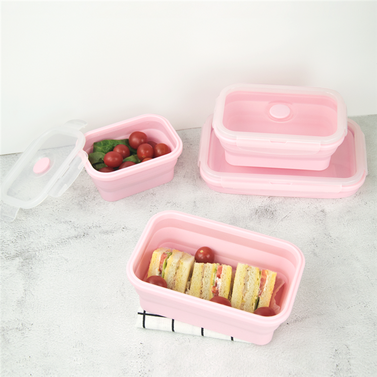 folding lunch box (19)