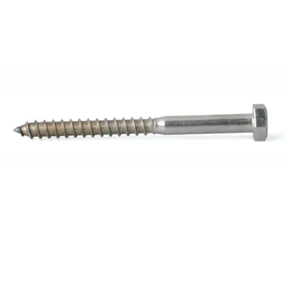 SS316L DIN571 Hexagon Head Wood Screws