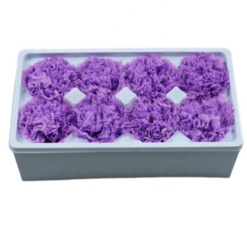 Großhandel getrocknete und konservierte Blumen - Weiß, blau, lila Nelken 4-6 cm