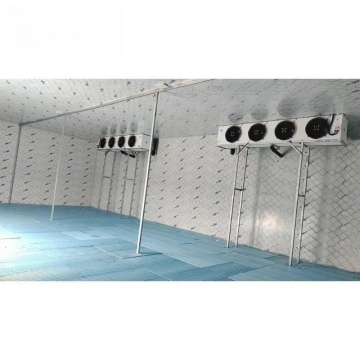 Factory Direct Price for Cold Room and Frozen Room Storage