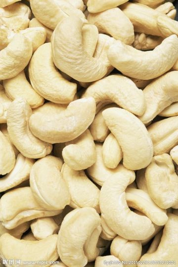 raw cashew nut prices cashew nut w240