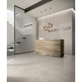 Italian Design Gris color Porcelain Flooring tiles