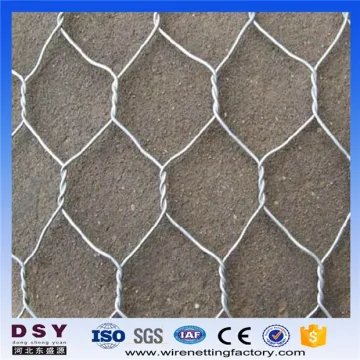 Poultry Net Hexagonal Wire Mesh for Protection