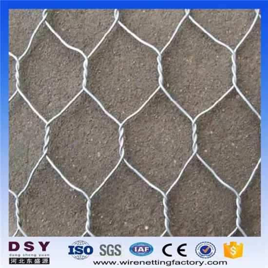 Poultry Net Hexagonal Wire Mesh for Protection