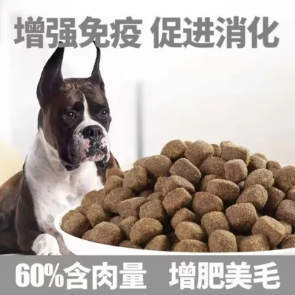 High-Protein Dog Cat Food Pressing Machinery - 500kg/Hour Capacity