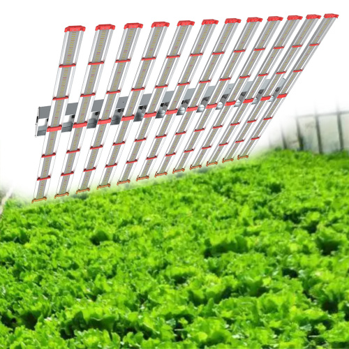 Top Seller Vertical Full Led Grow Light Samsung