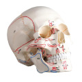 /msite/products/detail/productid/63553578/id/1517769.html