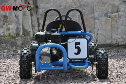 China cheap 163CC/196CC racing go kart for adults