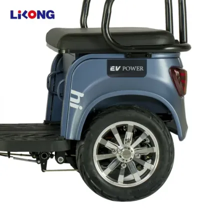 Lilong City Electric Bike E-Bike E Battery