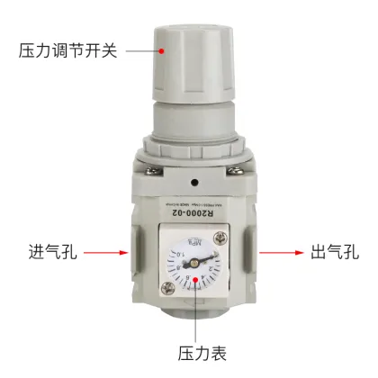 Pneumatic Reducing Valve R1100-01 CKD Reversible Pressure Regulator