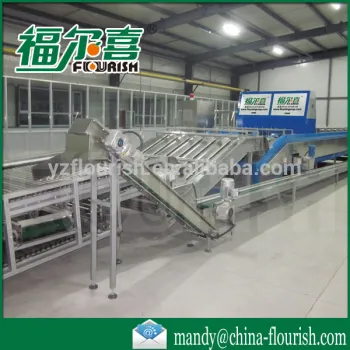 high efficient commercial jujube sort machines