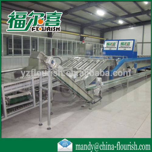 Commericial full automatic date grade equipment factory
