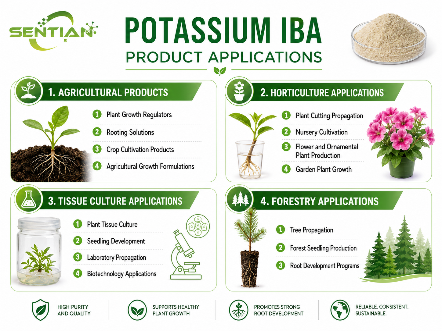 Potassium IBA（2）