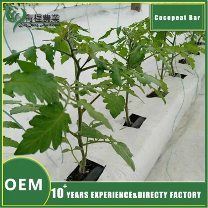 Coco Peat Soil Greenhouse Accessories