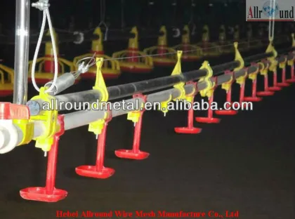 layer nipple drinker  