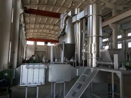 Borax Spin Flash Dryer
