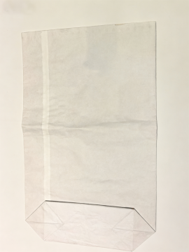 Custom White Laminate Paper Bag for Fashion Retail
