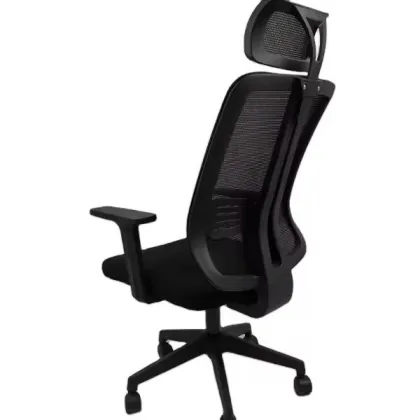 Ergonomic Mesh High-Back Office Chair