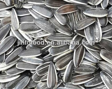5009 Sunflower Seeds(2015new crop)