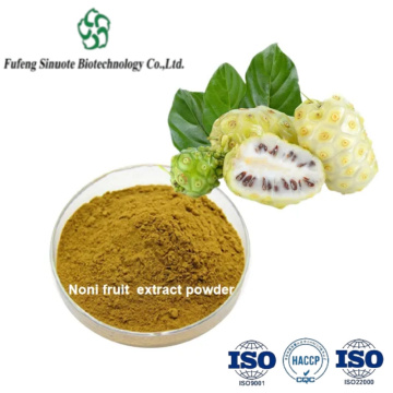 Premium Noni Fruit Powder for Immune and Digestive Health