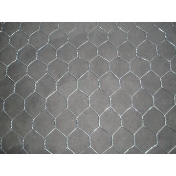 Hot Dipped Galvanized Hexagonal Wire Mesh