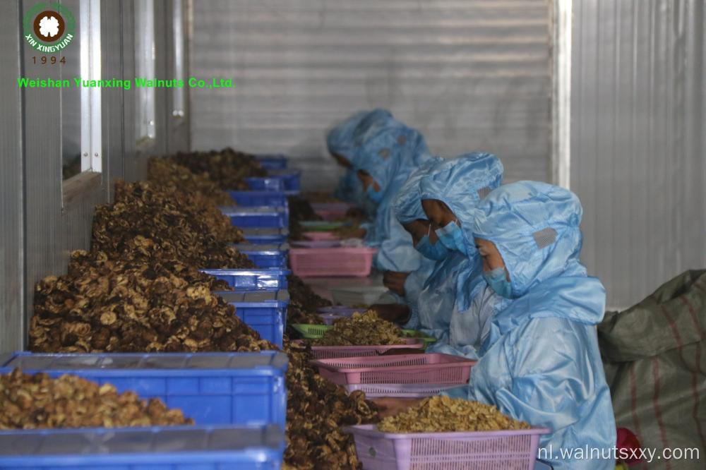 bulkpakket Chinese walnoot kernels kwartalen lichte kleur