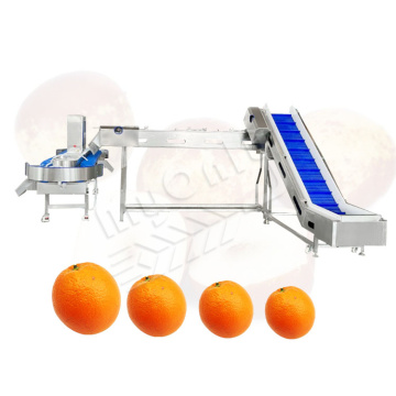 MYONLY Auto Olive Papaya Seafood Snail Live Crab Weight Sort Grade Machine