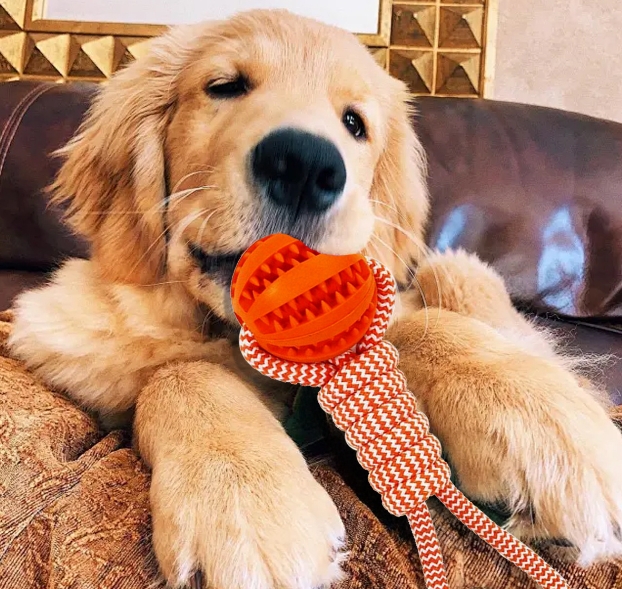 Rope Tugging & Ball Chew Dog Toy