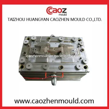 High Quality Plastic Injection SMC Mold in China