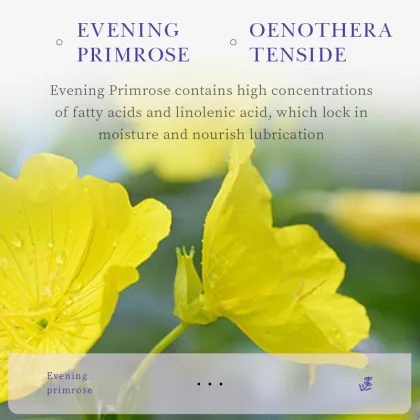Evening Primrose VE Body Lotion - Moisturizing Vitamin E Body Lotion