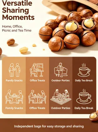Premium Roasted Macadamia Bulk Snack Nuts