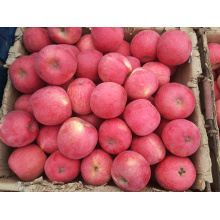 Caja de regalo de alta calidad de la manzana del selenio