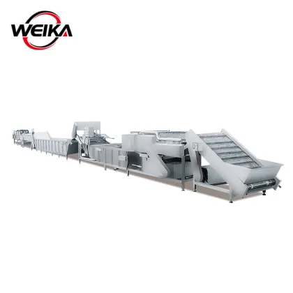 Shandong Zhucheng Vegetable Fruit Washing Drying Line