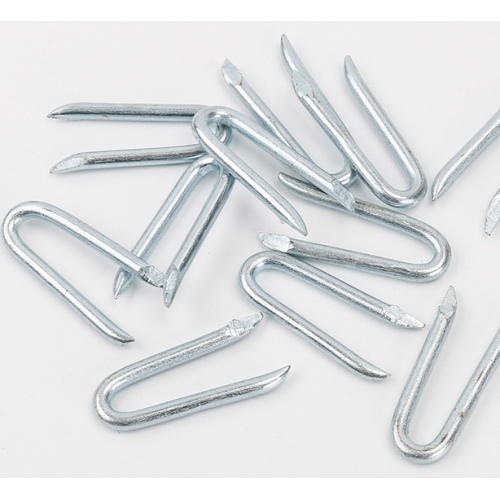 U Shape Nails Electro Galvanized U Shape Nails Supplier